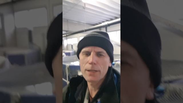 Стерлядь альбиносы. Золотая икра | Akva Ferma смотреть онлайн