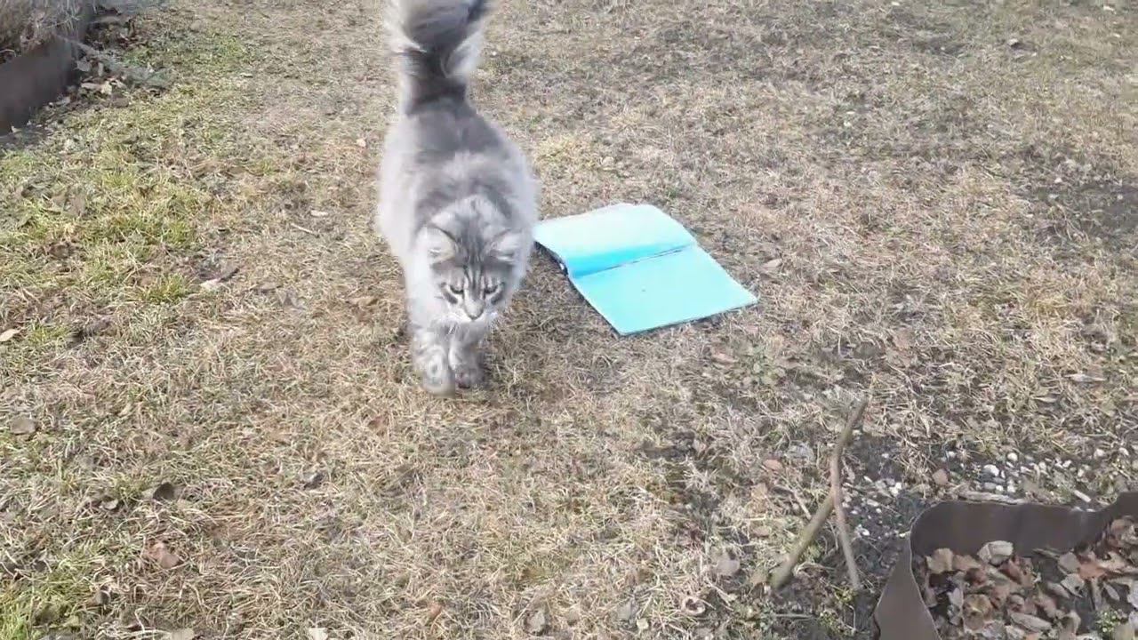 Открытие сезона 8 февраля 2024 года смотреть онлайн