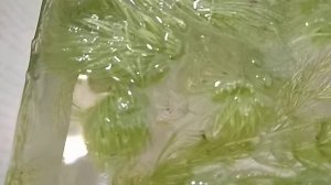 Бактериальная вспышка отступает. Новые рыбки.