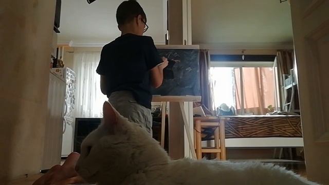 Мусики узнают как выглядит число 95 Школа Мусиков 😺 смотреть онлайн