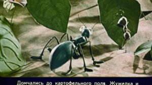 666. Как муравьишка домой спешил (1970 год)