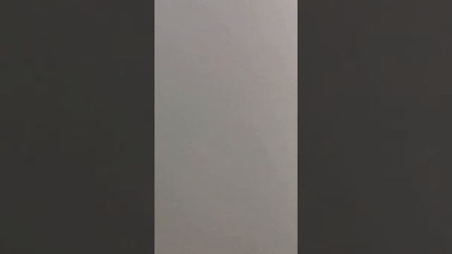 Такса это сила смотреть онлайн