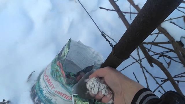 Самое эффективное средство от Медведки,Проволочника,личинок. смотреть онлайн