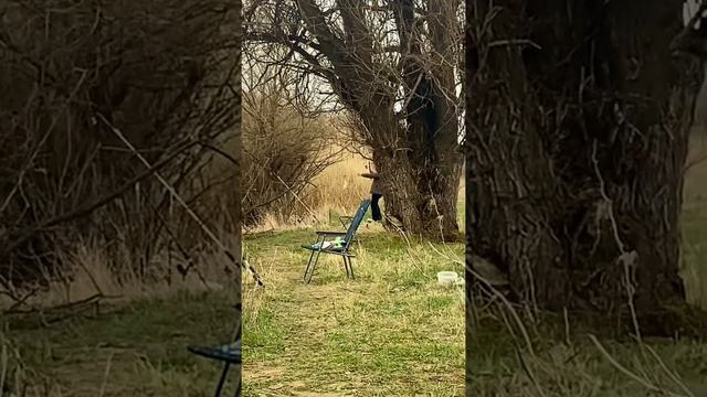 Астрахань 1-7 апреля 2022 смотреть онлайн