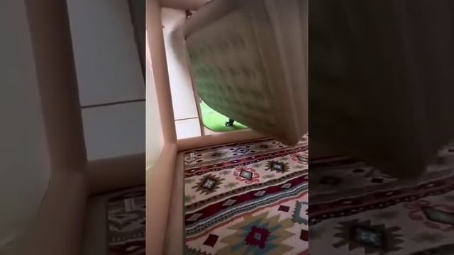 Что нам стоит дом ? построить? Надуваем - будем ? жить! bayoun.ru смотреть онлайн