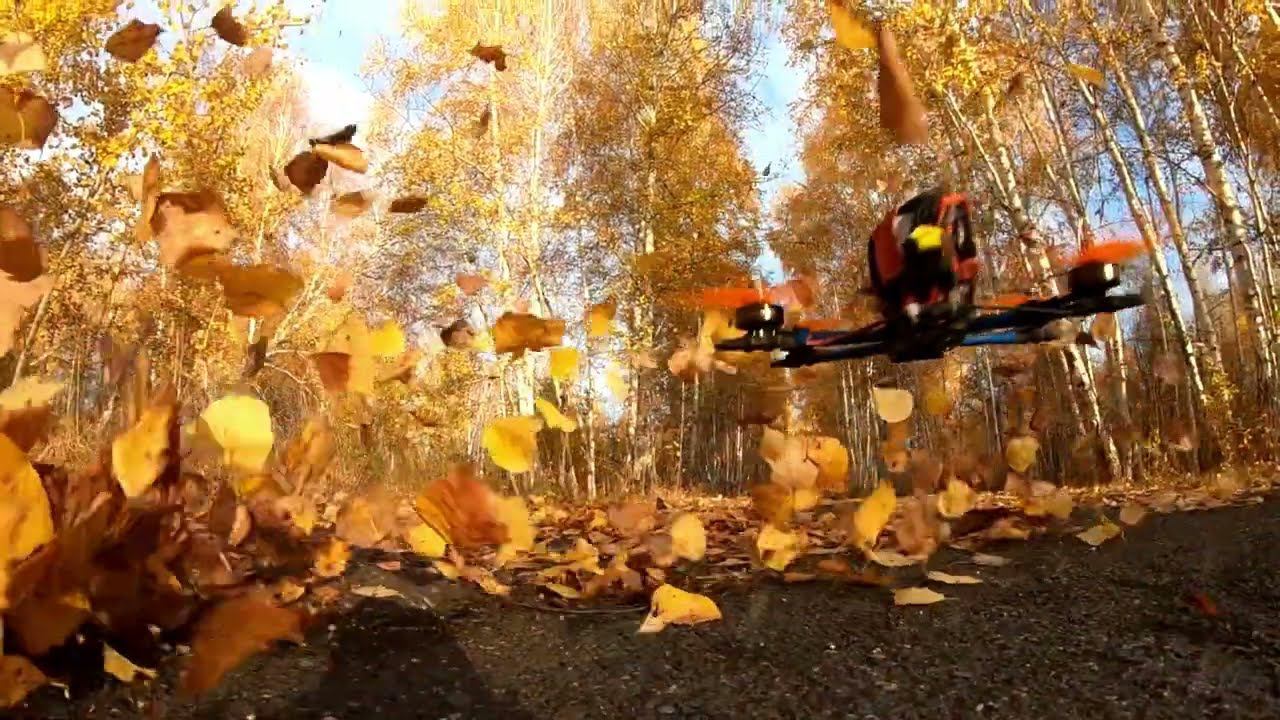 Листья1 смотреть онлайн