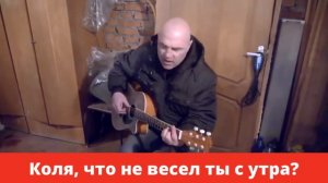 Смешная песня  под гитару. Весёлая песня