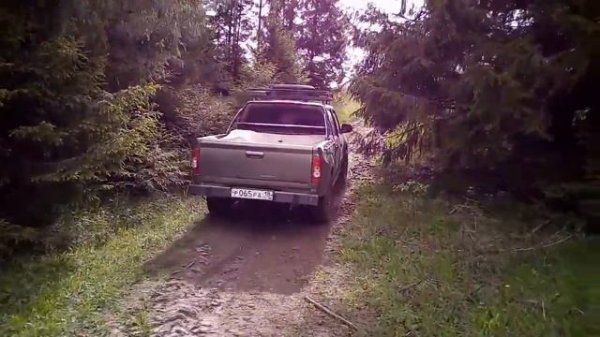 Дервейс плутус