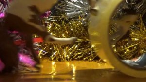 ЛОШАДКИ ШЛЯЙХ УКРАШАЮТ КОНЮШНЮ К НОВОМУ ГОДУ! СНЕЖНЫЕ ИГРЫ!