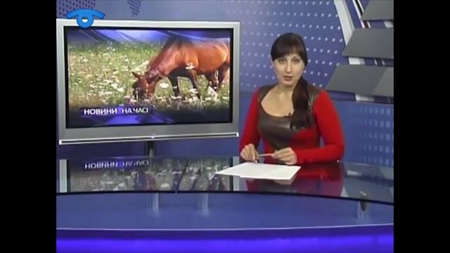 цыганский шашлык смотреть онлайн