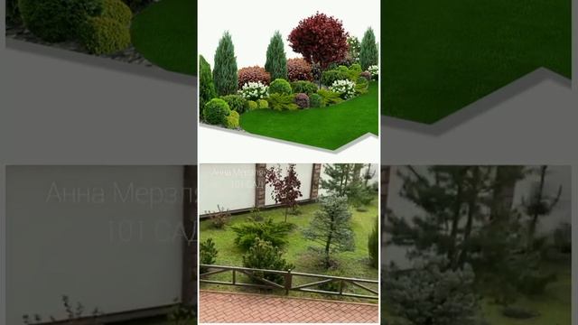 Ошибки при посадке деревьев и кустарников. Разбор участка. смотреть онлайн