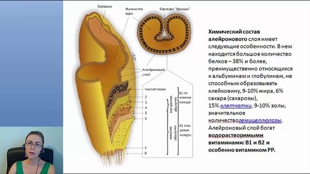 Осознанное питание. Пирамида питания. смотреть онлайн