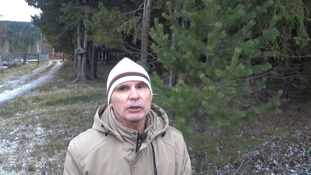 С днём Народного Единства!