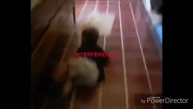 Косметика для Волос