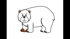Как нарисовать Бурого медведя. Раскраска Бурый медведь для детей