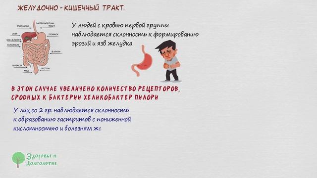 Группа крови расскажет скрытое о твоем сердце, зубах и ЖКТ! смотреть онлайн