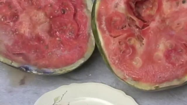 Time To Go: An Original Music Video By Singer/songwriter Lori Ann Miller