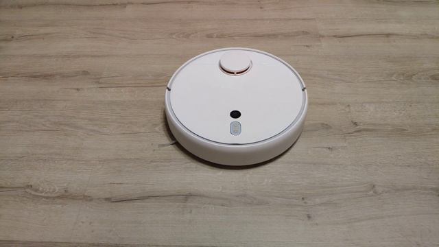 КРАТКО о Xiaomi Vacuum Cleaner 1S + голосовое управление Алиса