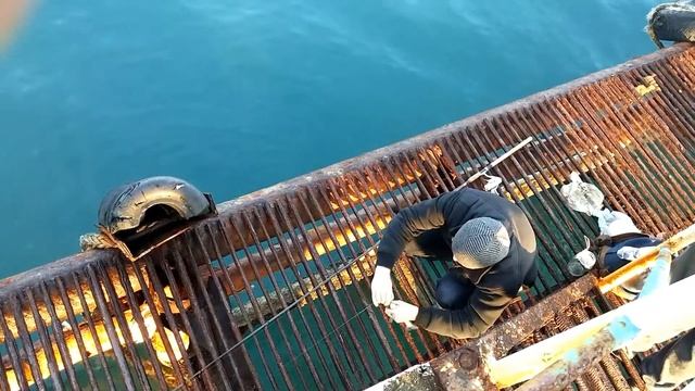 Ловля тефаля в Пицунде смотреть онлайн