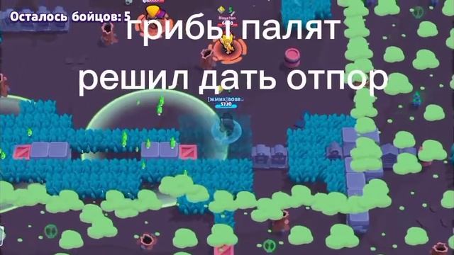 Грибы зделали больше чем я @гриб смотреть онлайн