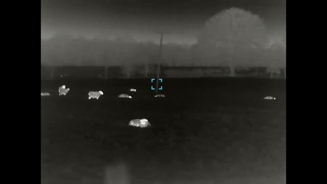 Iray Finder II FH35R thermal spotter with laser range finder смотреть онлайн