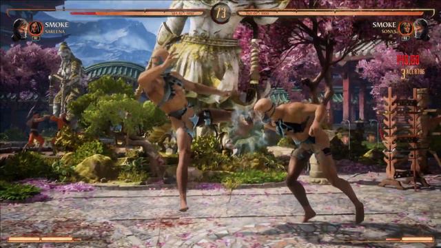 Mortal Kombat 1 Mod - Smoke Lingerie смотреть онлайн