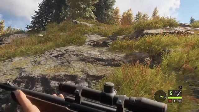 Շփվենք ու խառը խաղանք //theHunter: Call of the Wild// Որսորդություն смотреть онлайн