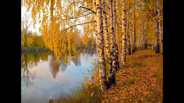 Листья жгут смотреть онлайн