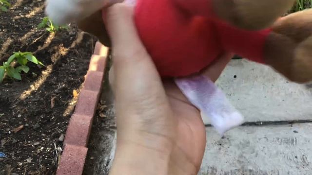 Plush entertainment episode :Max’s Garden + BlueBerry! смотреть онлайн