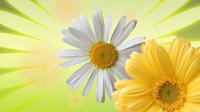 Поздравляем с 8 марта! смотреть онлайн