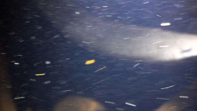 Видео о коллекции(Какая рыба находится в аквариуме на 2500 литров и почему?) смотреть онлайн