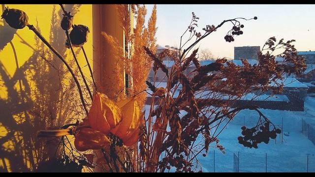 Л Миллер Ей богу, я счастливей всех #философскаялирика #современнаяпоэзия смотреть онлайн