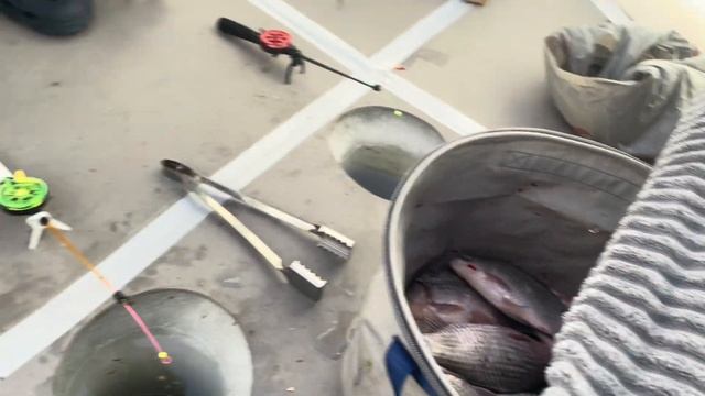 Первое видео!! Рыбалка на озере Чаны! Остров редкий! смотреть онлайн