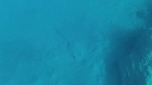 КРАСНОЕ МОРЕ ХУРГАДА|Обзор пляжей  Zahabia, коралловый риф