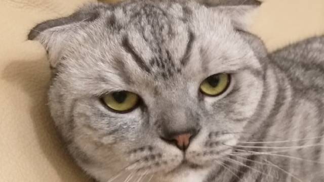 комп