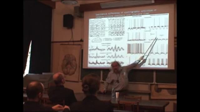 Природа медленно-волновой активности коры - Игорь Тимофеев Часть 1 смотреть онлайн