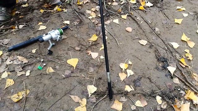 рыбалка у Кировского моста смотреть онлайн