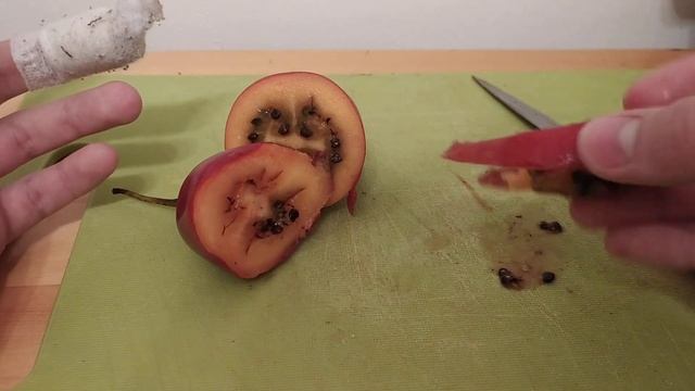 Вкусняшки #1 сегодня я пробую разные тропические фрукты : питахая , тамарилло смотреть онлайн