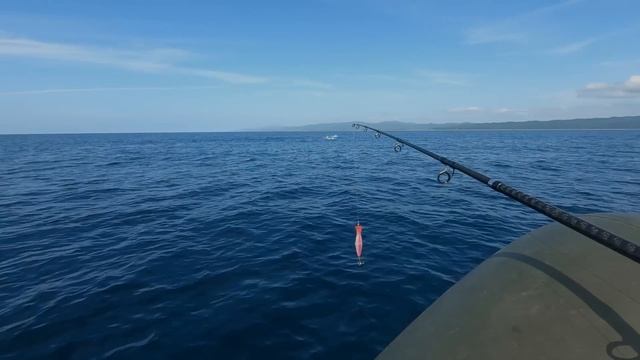 САХАЛИН! ТУНЕЦ на жереховую приманку! Bluefin tuna. смотреть онлайн