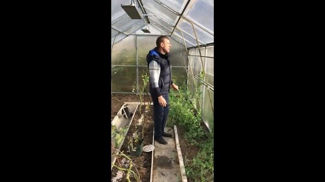 теплица с раздвижной крышей смотреть онлайн