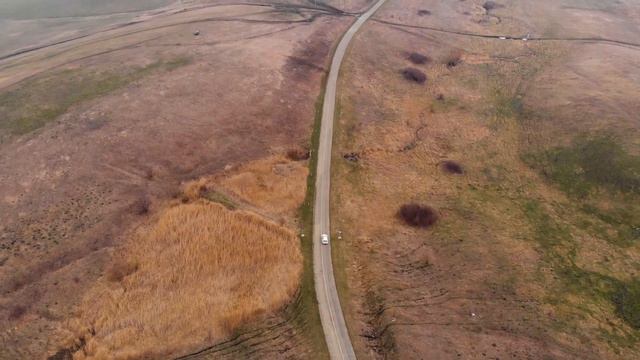 стрижамент ставрополь смотреть онлайн