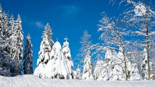 - Мам, знаешь что... не надо приезжать к нам на свадьбу. Истории из жизни. смотреть онлайн
