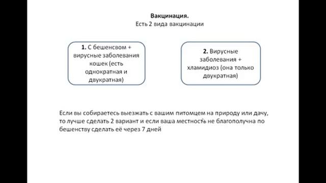 Урок №3. Правила ухода за котенком. смотреть онлайн