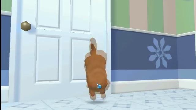 Petz Catz 2 does a flip! смотреть онлайн