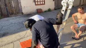 Дан Запашный на улице с обезьянами породы шимпанзе