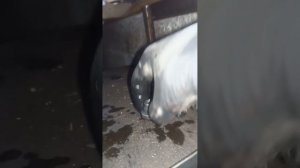 Nissan Qashqai 2.0 заміна масла МКПП