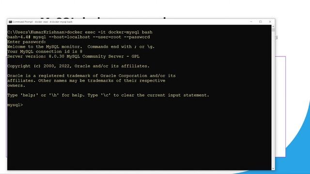 How To Dockerize MySQL - A Quick Start Guide