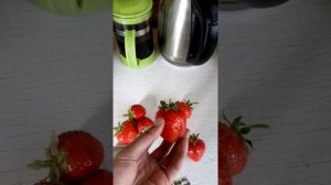 Клубника ФЛОРЕНТИНА ремонтантный сорт клубники с очень крупной и сочной ягодой Ферма «Омская Ягода»