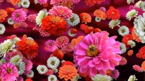 ВИДЕОМОНТАЖ / Фон для видео. шикарный цветочный 3д фон