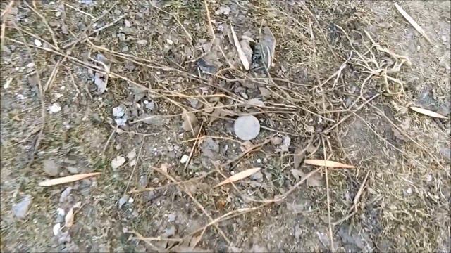 Поиск монет без металлоискателя 74 смотреть онлайн